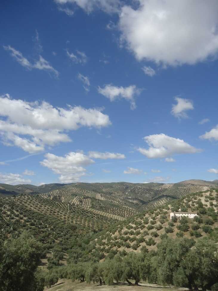 finca-iznajar-bsp126-10