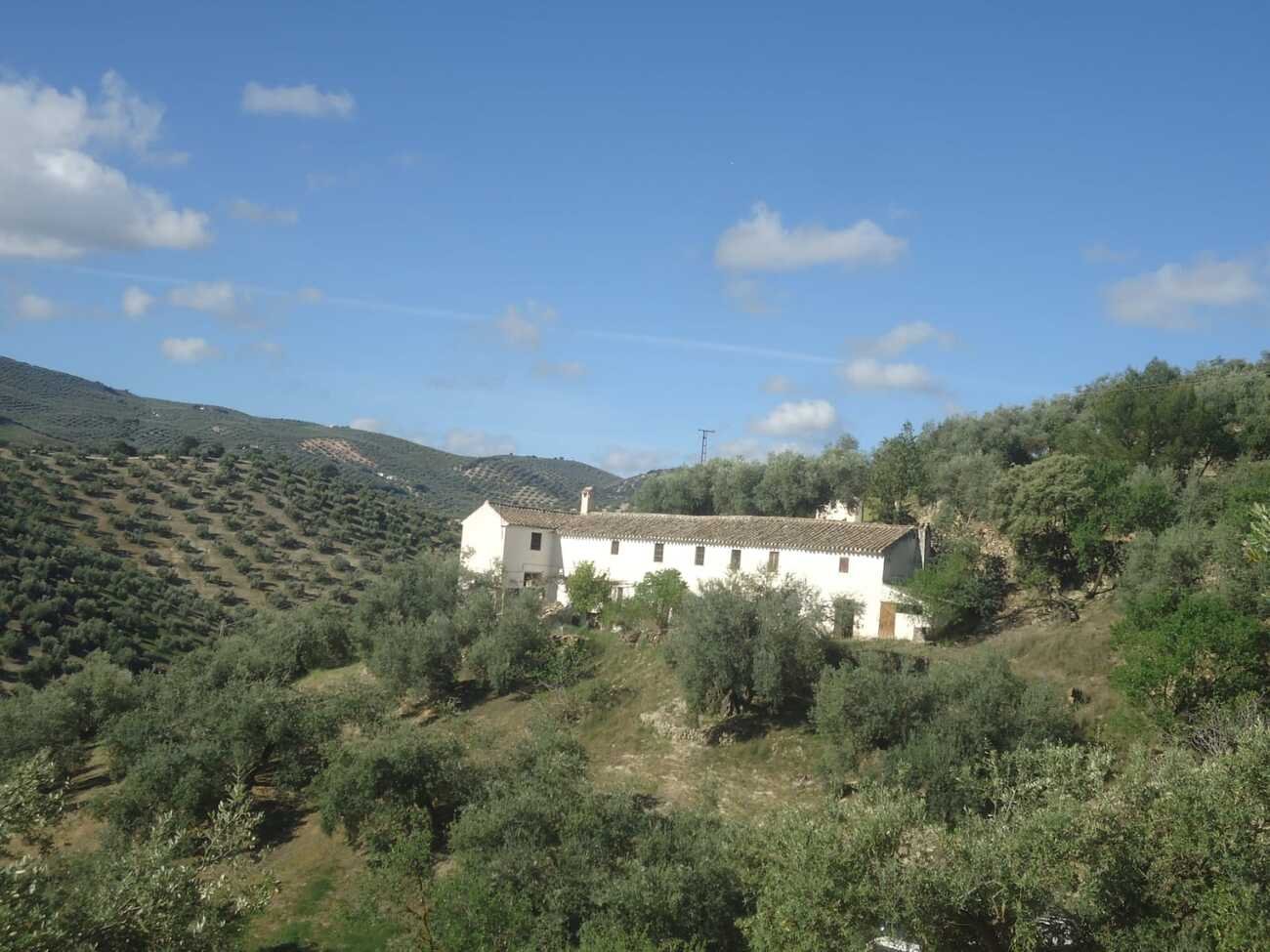 finca-iznajar-bsp126-2