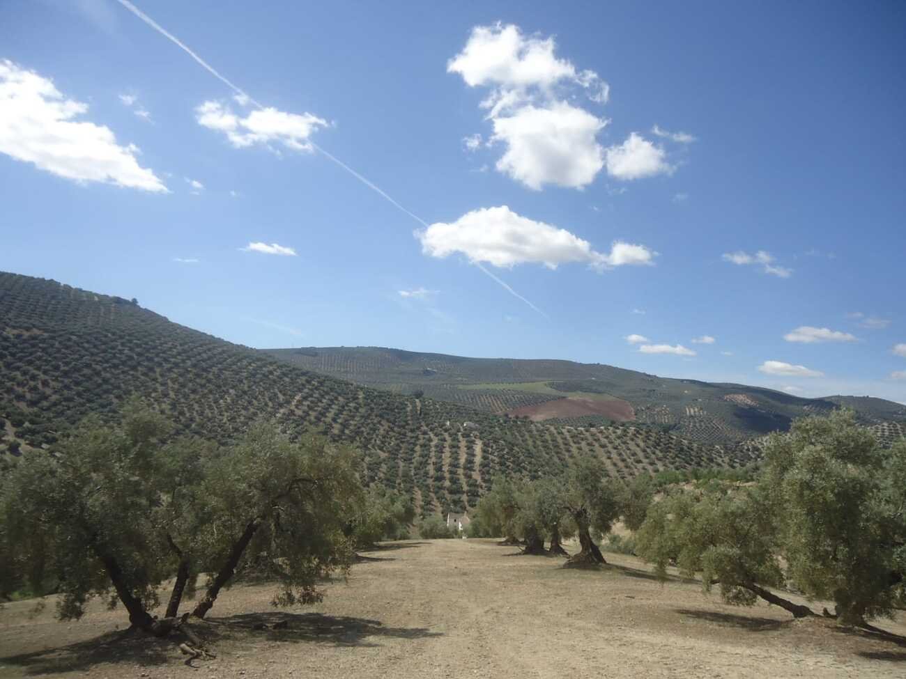 finca-iznajar-bsp126-27