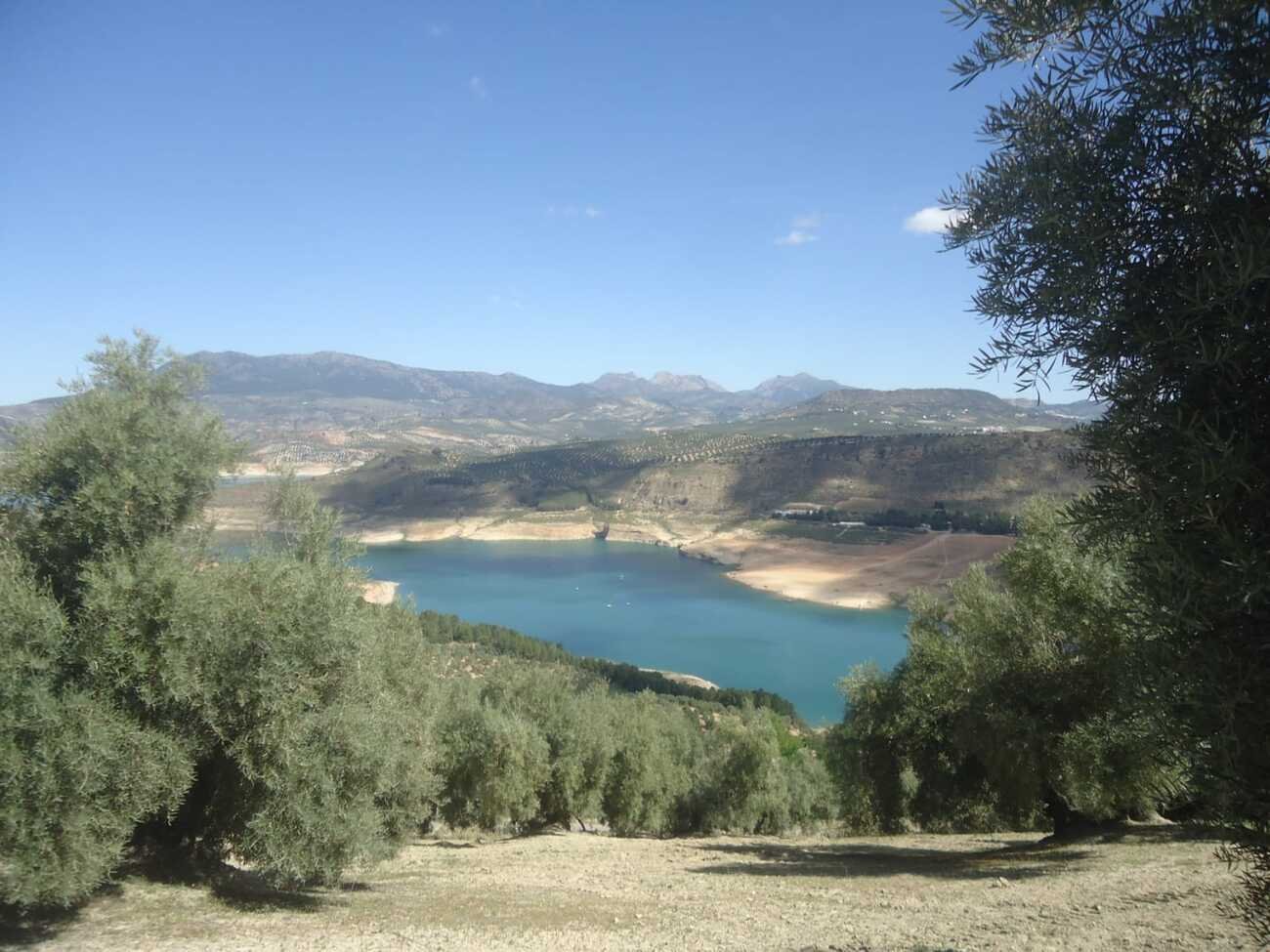 finca-iznajar-bsp126-9