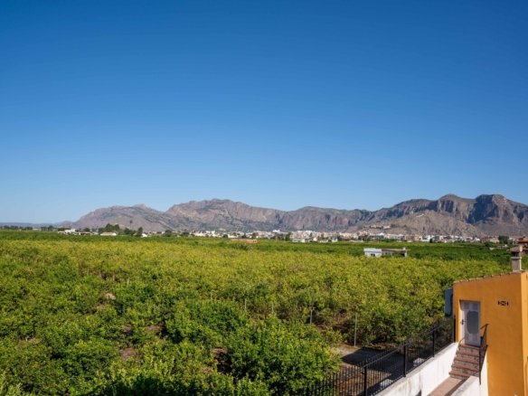 5 Bedroom 3 Bathroom Finca in Orihuela - Caza De Casa