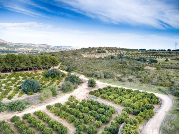 4 Bedroom 2 Bathroom finca in Gata de Gorgos - Caza De Casa
