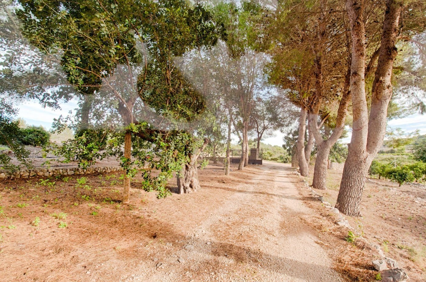 4 Bedroom 2 Bathroom finca in Gata de Gorgos - Caza De Casa