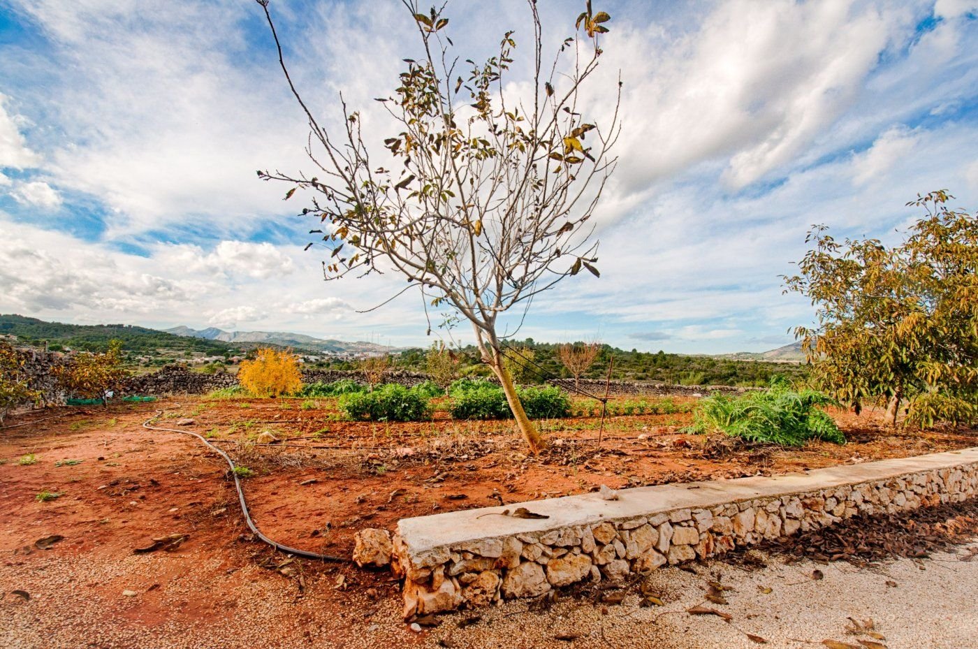 4 Bedroom 2 Bathroom finca in Gata de Gorgos - Caza De Casa