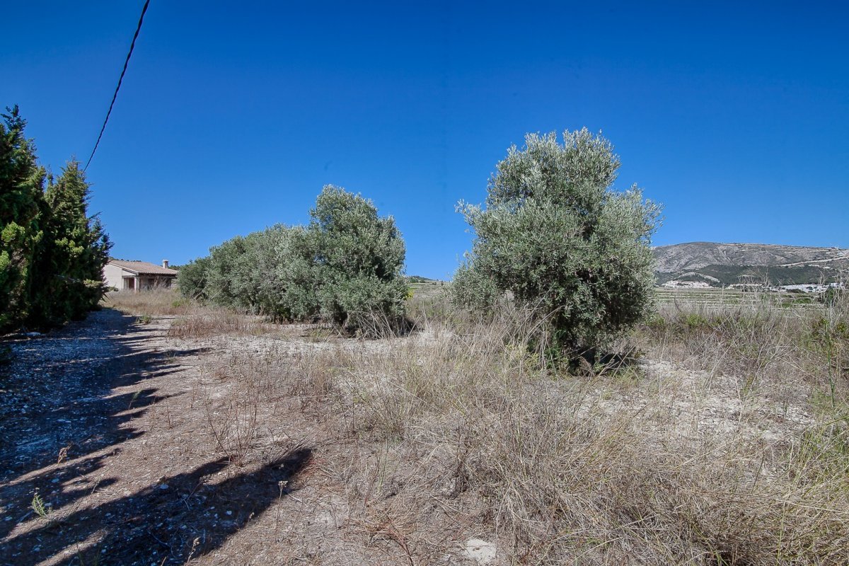 4 Bedroom 4 Bathroom finca in Moraira - Caza De Casa