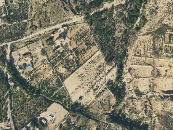 16,000 m² Land in Crevillent - Caza De Casa