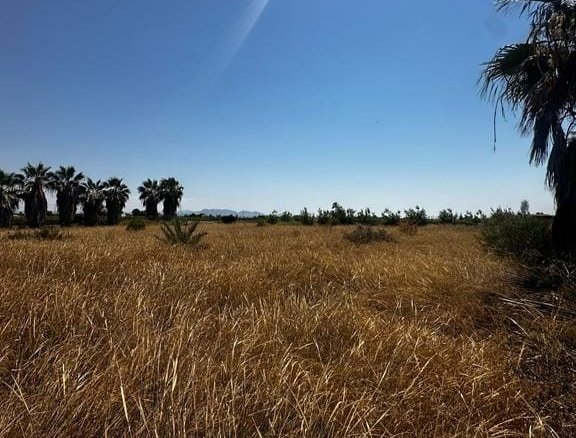 Land in Elche - Caza De Casa