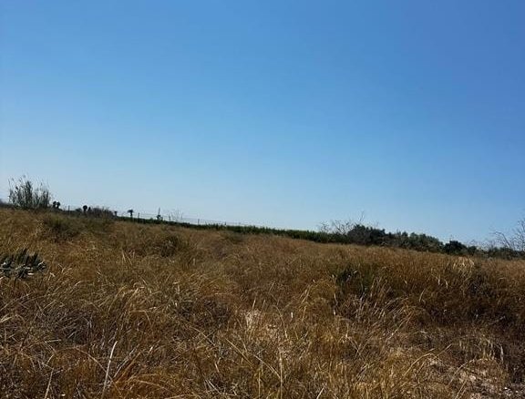 Land in Elche - Caza De Casa