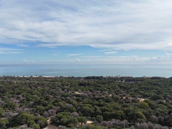 1,080 m² Land in Guardamar del Segura - Caza De Casa