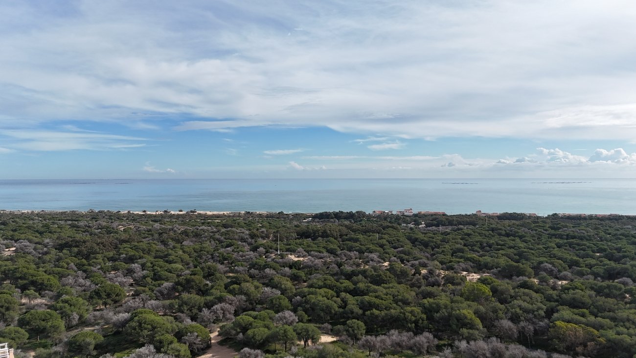 1,080 m² Land in Guardamar del Segura - Caza De Casa