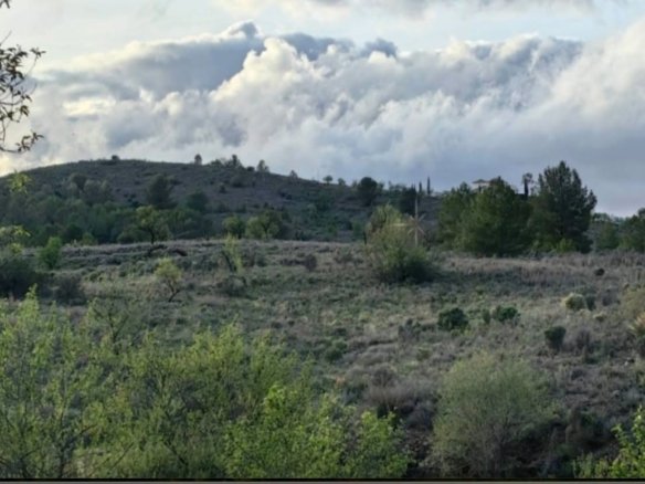 Hillside land of the Lorca estate