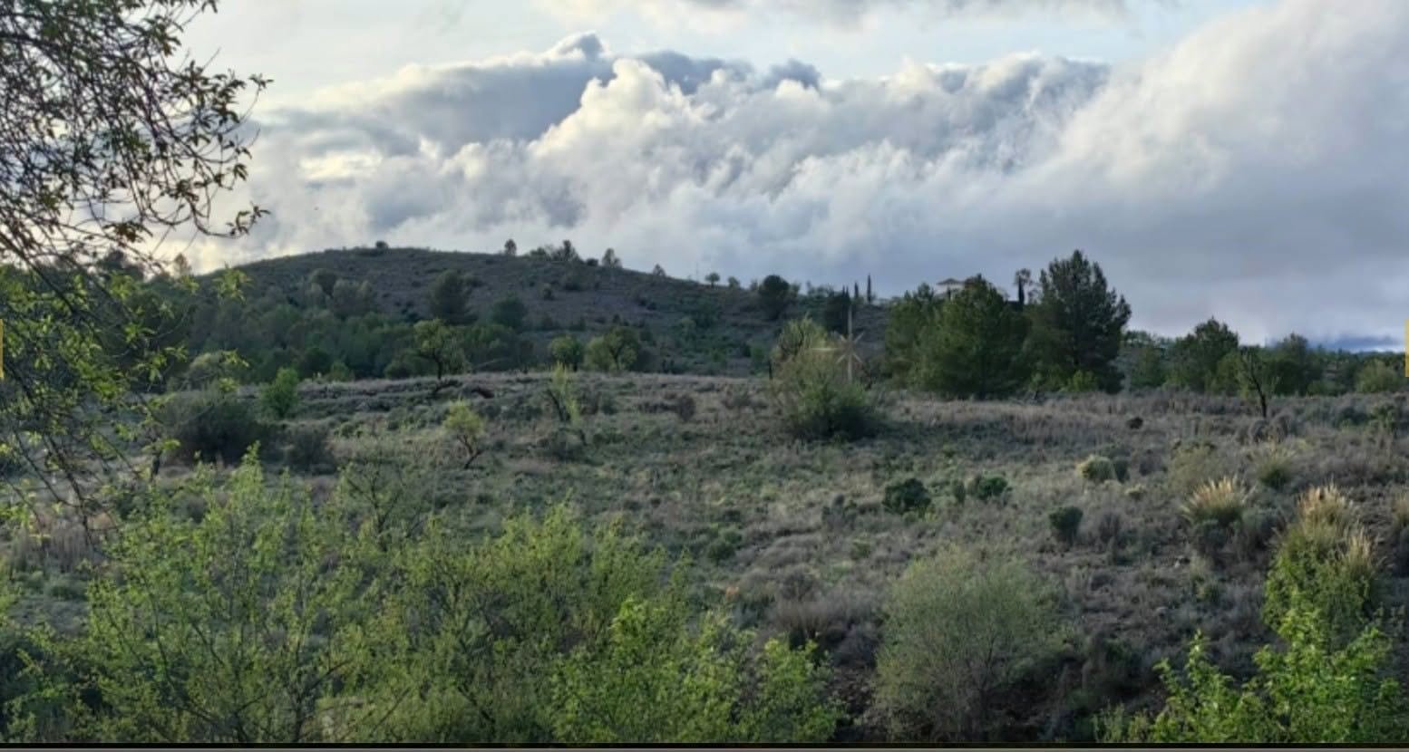 Hillside land of the Lorca estate