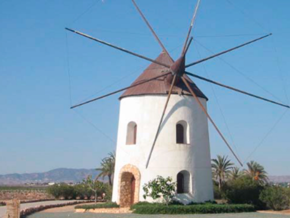 19,000 m² Land in Torre Pacheco - Caza De Casa