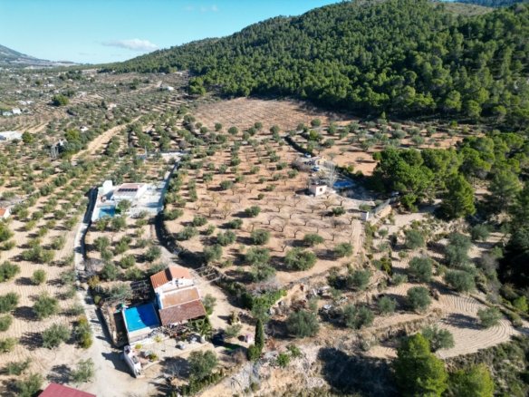 10,035 m² Land in Ibi - Caza De Casa