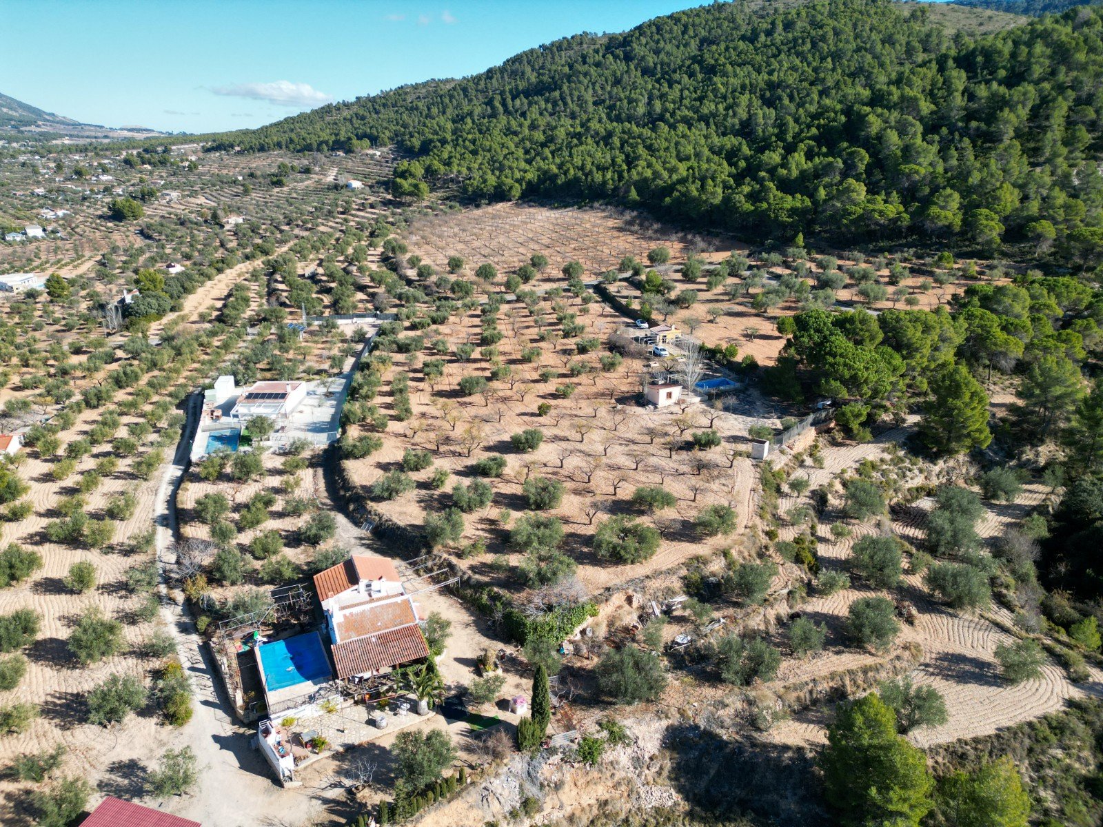 10,035 m² Land in Ibi - Caza De Casa