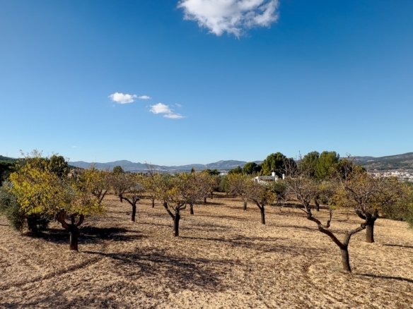 10,035 m² Land in Ibi - Caza De Casa