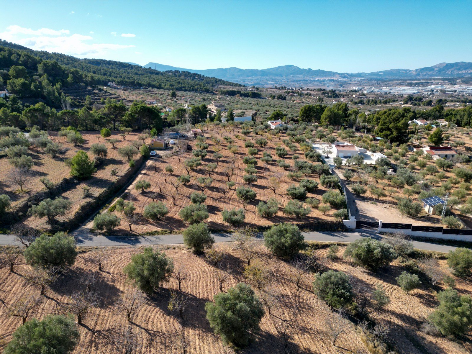 10,035 m² Land in Ibi - Caza De Casa