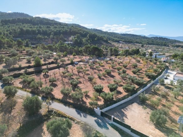 10,035 m² Land in Ibi - Caza De Casa