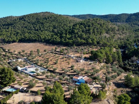 10,035 m² Land in Ibi - Caza De Casa