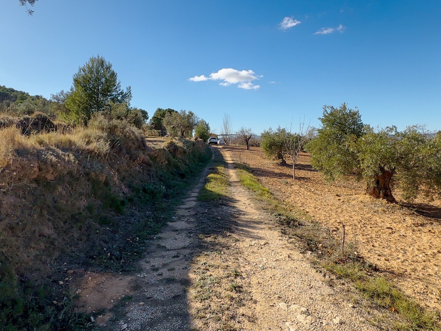 10,035 m² Land in Ibi - Caza De Casa