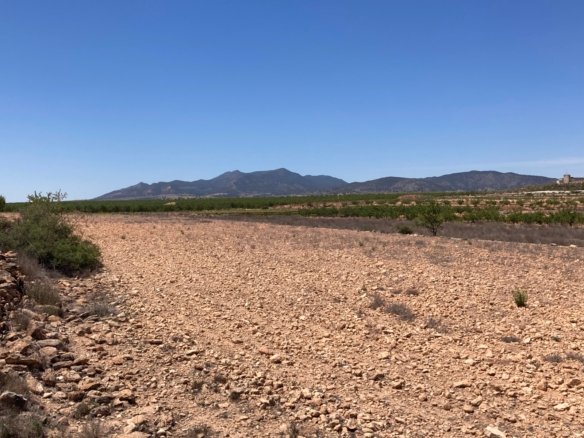 14,000 m² Land in Pinoso - Caza De Casa