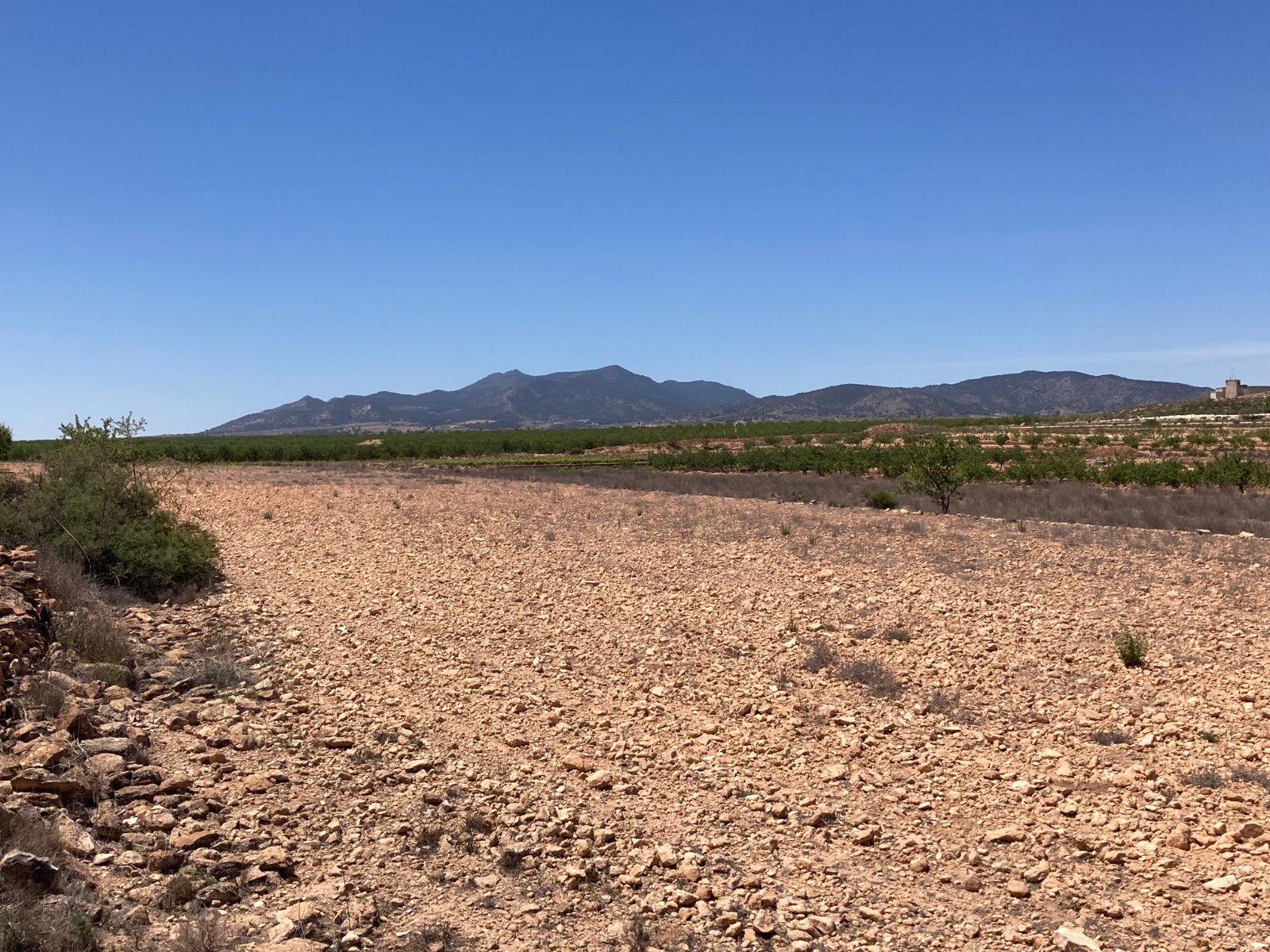 14,000 m² Land in Pinoso - Caza De Casa