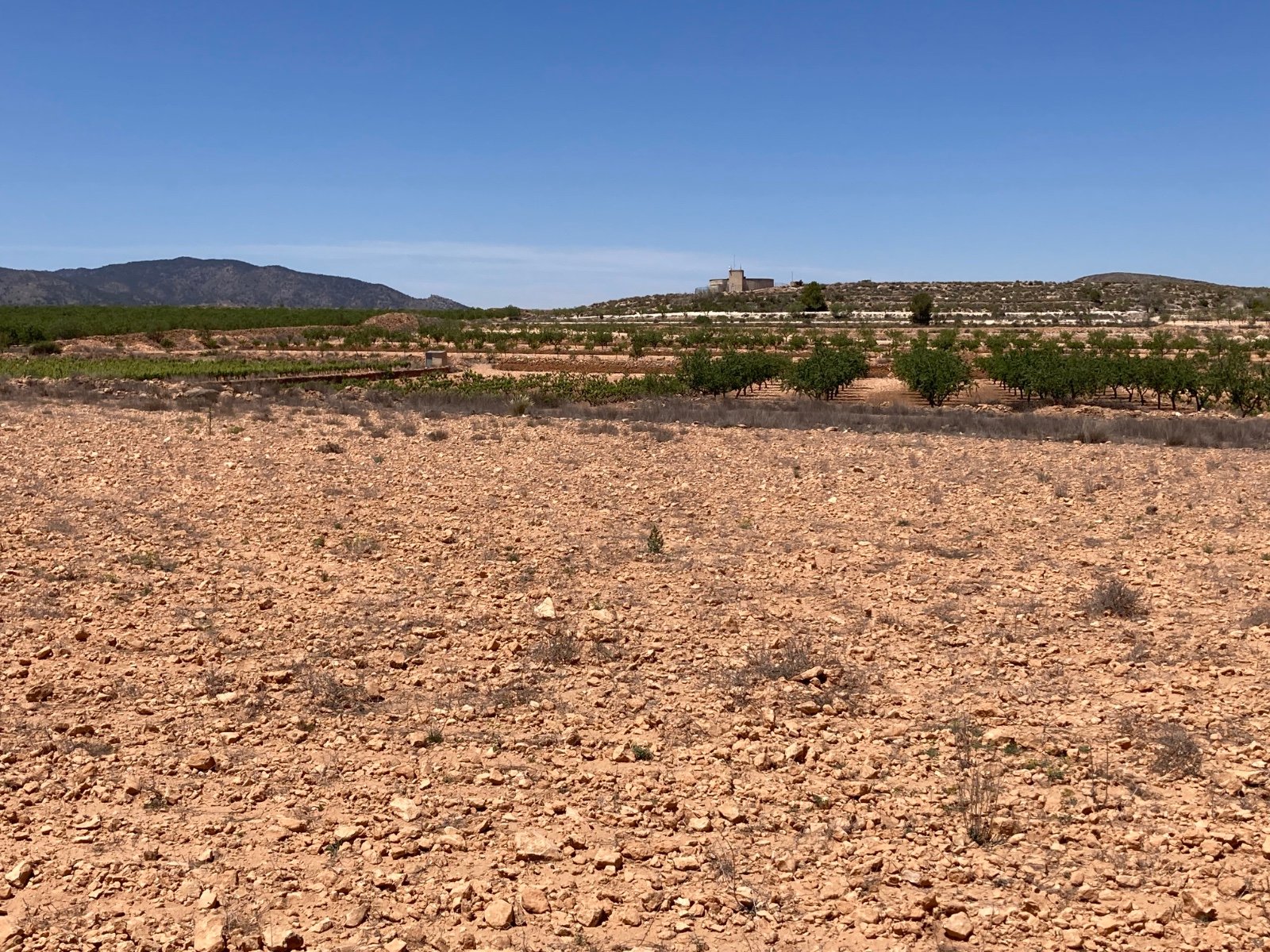14,000 m² Land in Pinoso - Caza De Casa
