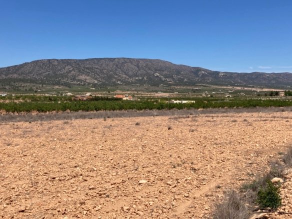 14,000 m² Land in Pinoso - Caza De Casa