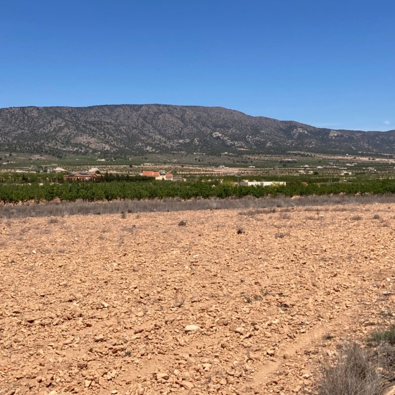 14,000 m² Land in Pinoso - Caza De Casa