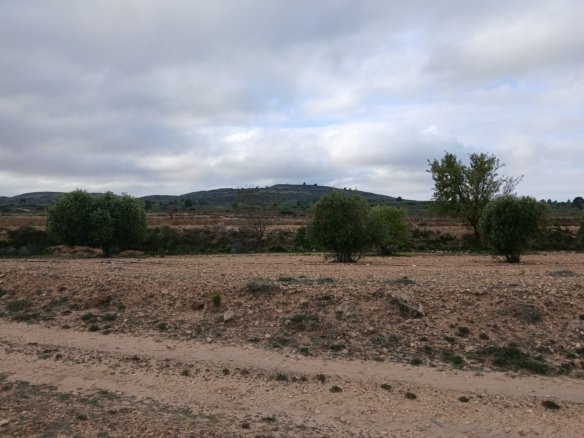 9,808 m² Land in Yecla - Caza De Casa