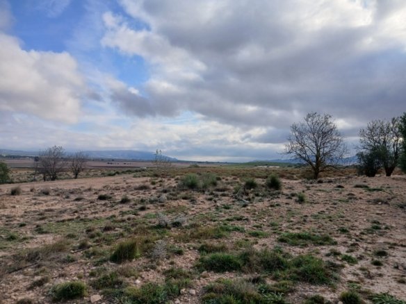 9,808 m² Land in Yecla - Caza De Casa
