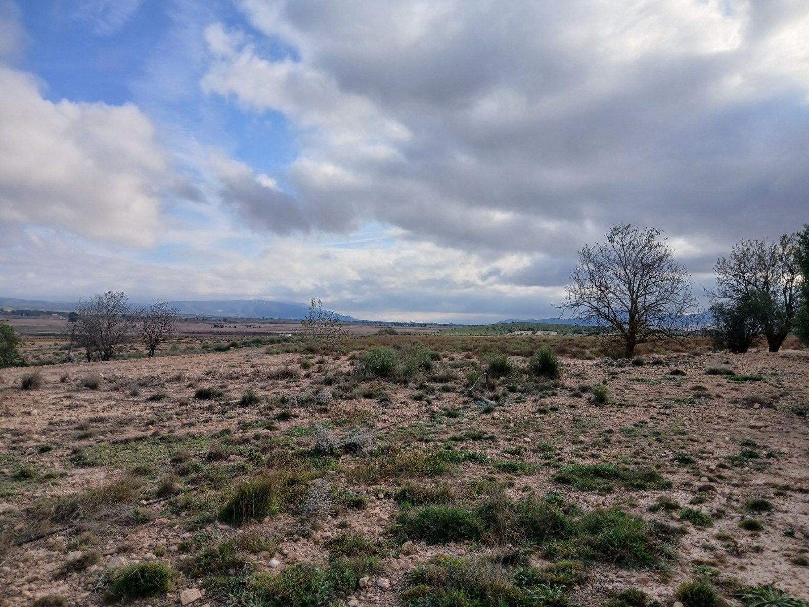 9,808 m² Land in Yecla - Caza De Casa