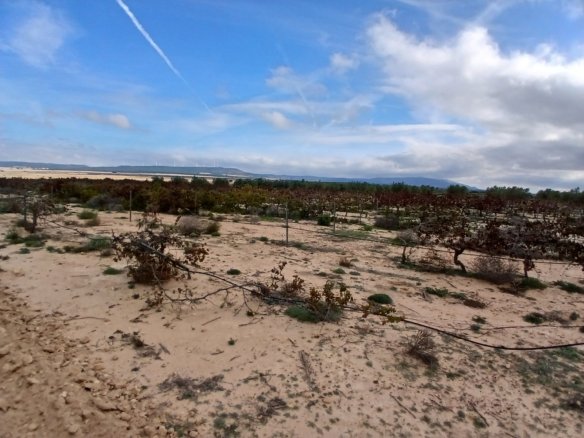 9,808 m² Land in Yecla - Caza De Casa