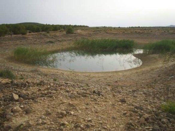 600,000 m² Land in Yecla - Caza De Casa