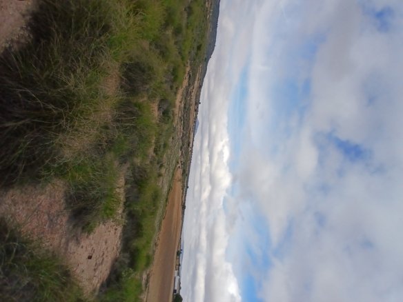 600,000 m² Land in Yecla - Caza De Casa