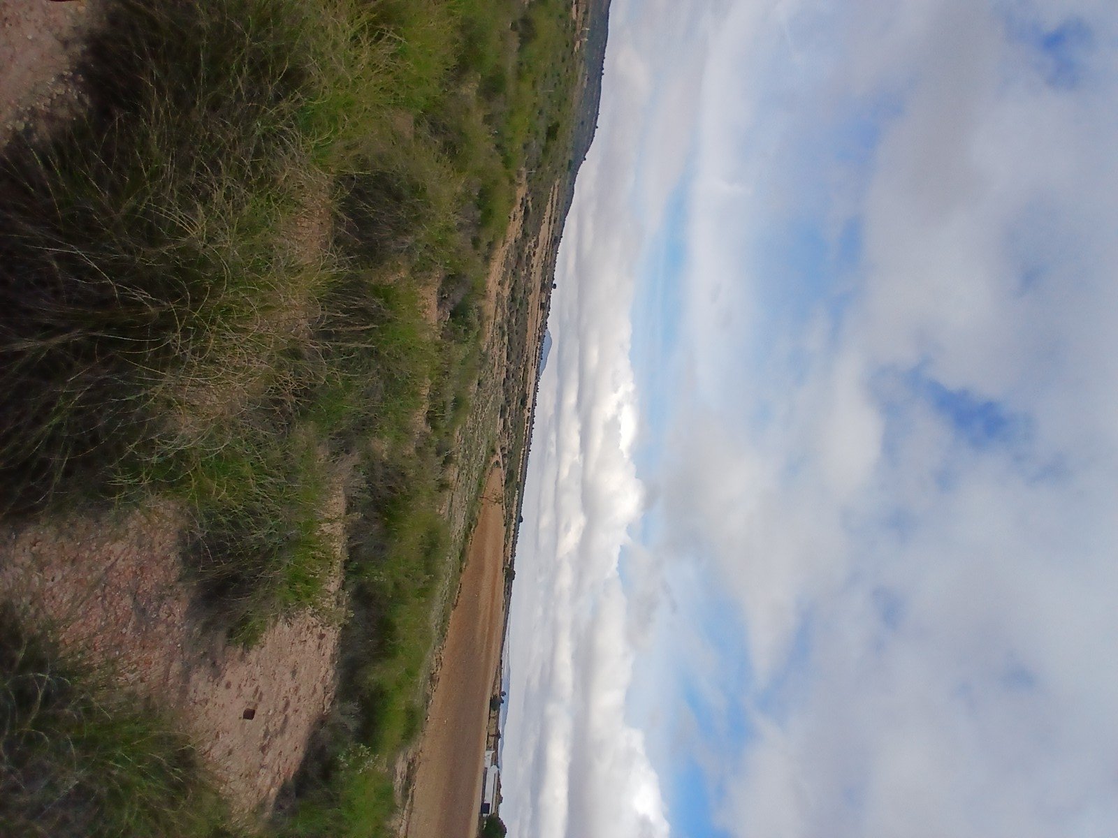 600,000 m² Land in Yecla - Caza De Casa