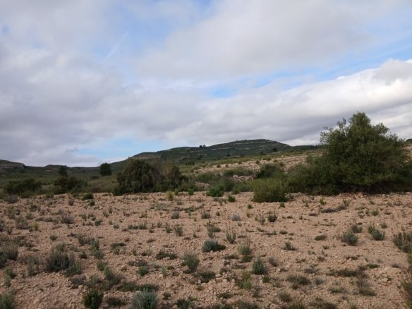 600,000 m² Land in Yecla - Caza De Casa