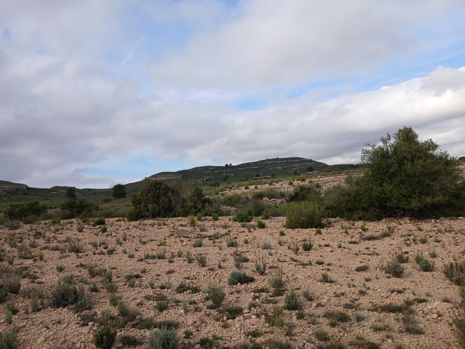 600,000 m² Land in Yecla - Caza De Casa