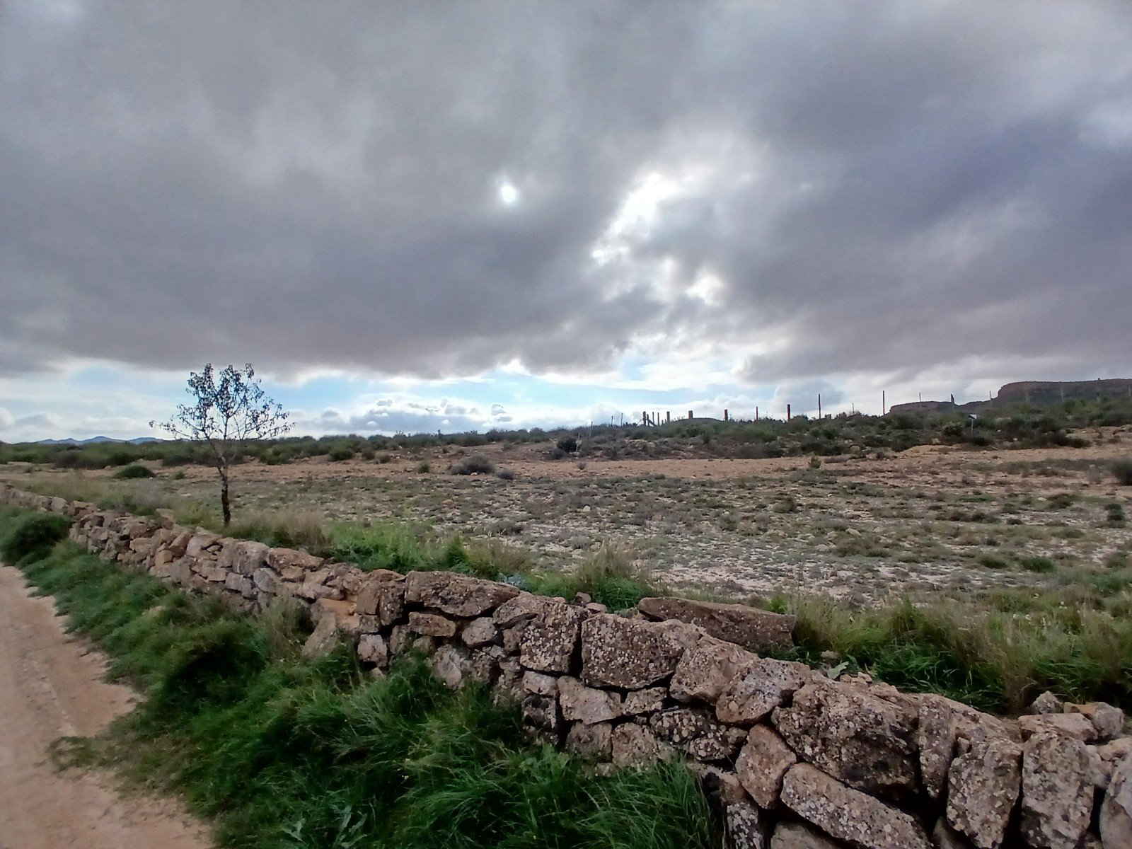 600,000 m² Land in Yecla - Caza De Casa