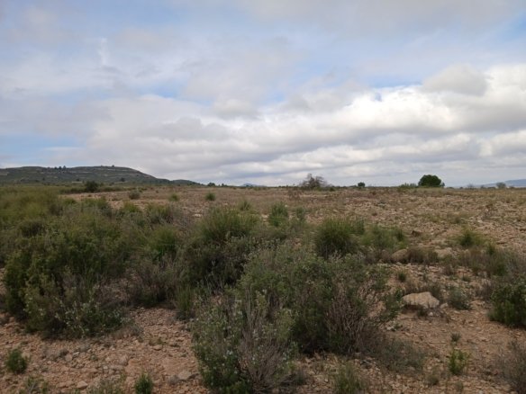 600,000 m² Land in Yecla - Caza De Casa