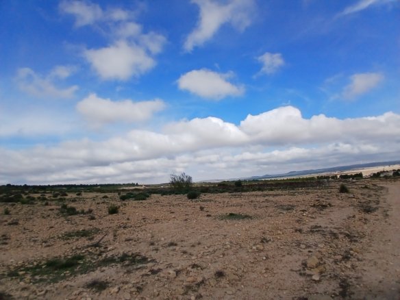 600,000 m² Land in Yecla - Caza De Casa