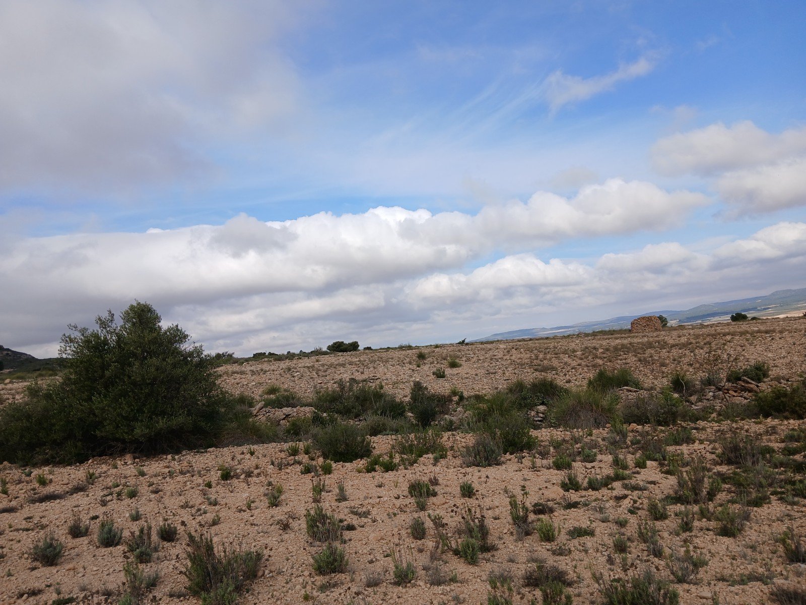 600,000 m² Land in Yecla - Caza De Casa