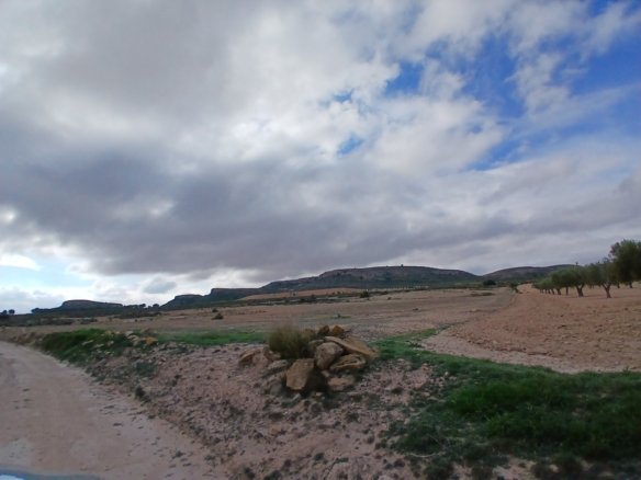 600,000 m² Land in Yecla - Caza De Casa