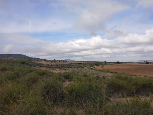 600,000 m² Land in Yecla - Caza De Casa