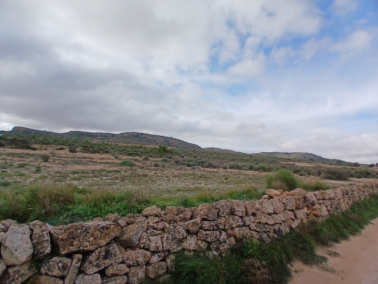 600,000 m² Land in Yecla - Caza De Casa