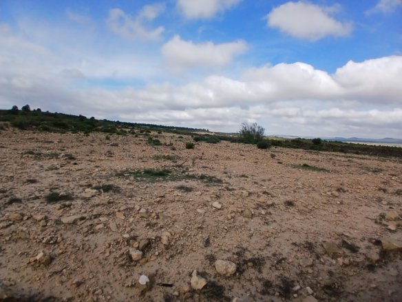 600,000 m² Land in Yecla - Caza De Casa