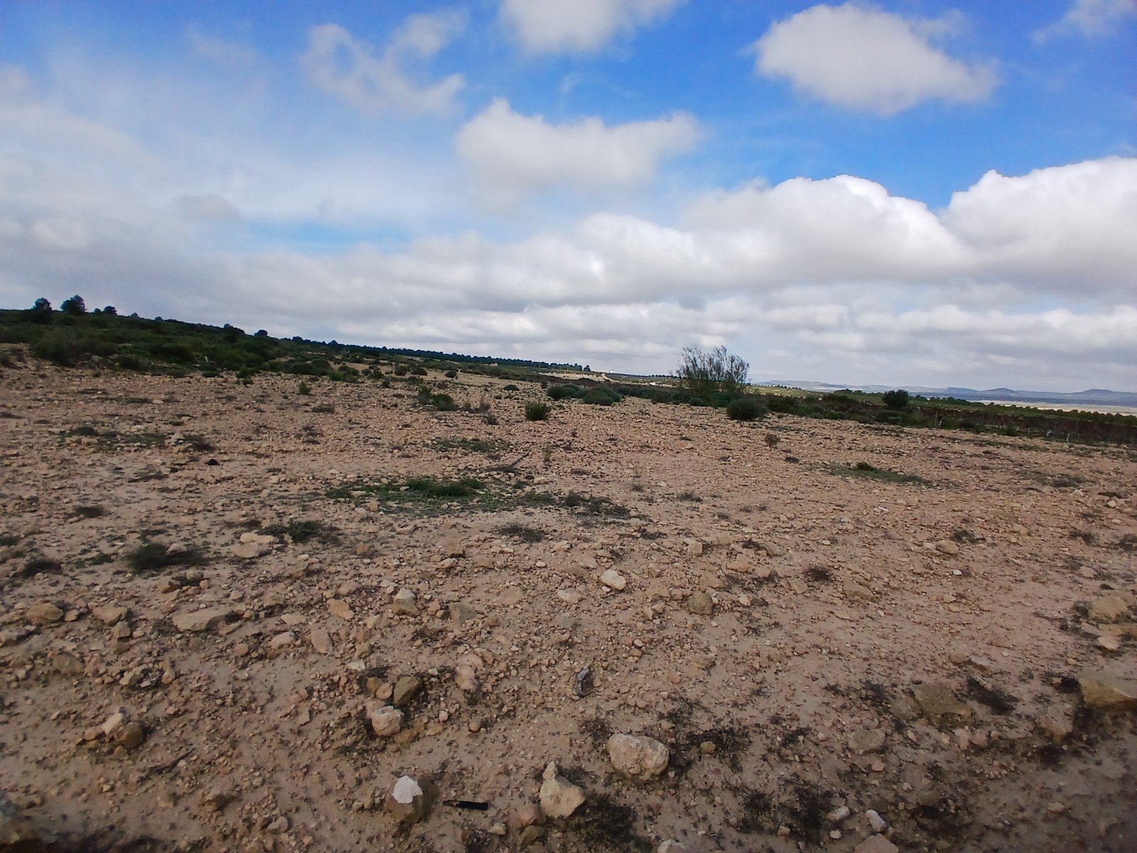 600,000 m² Land in Yecla - Caza De Casa