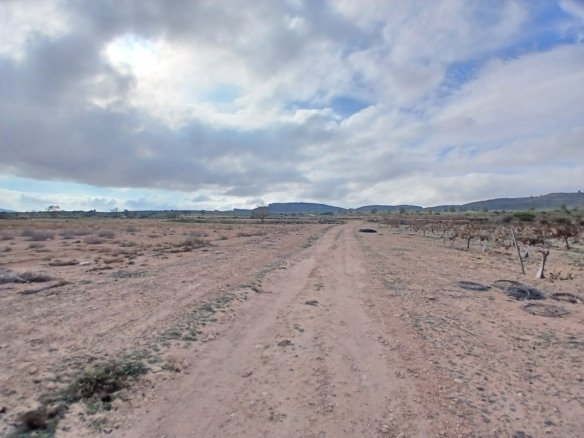 600,000 m² Land in Yecla - Caza De Casa