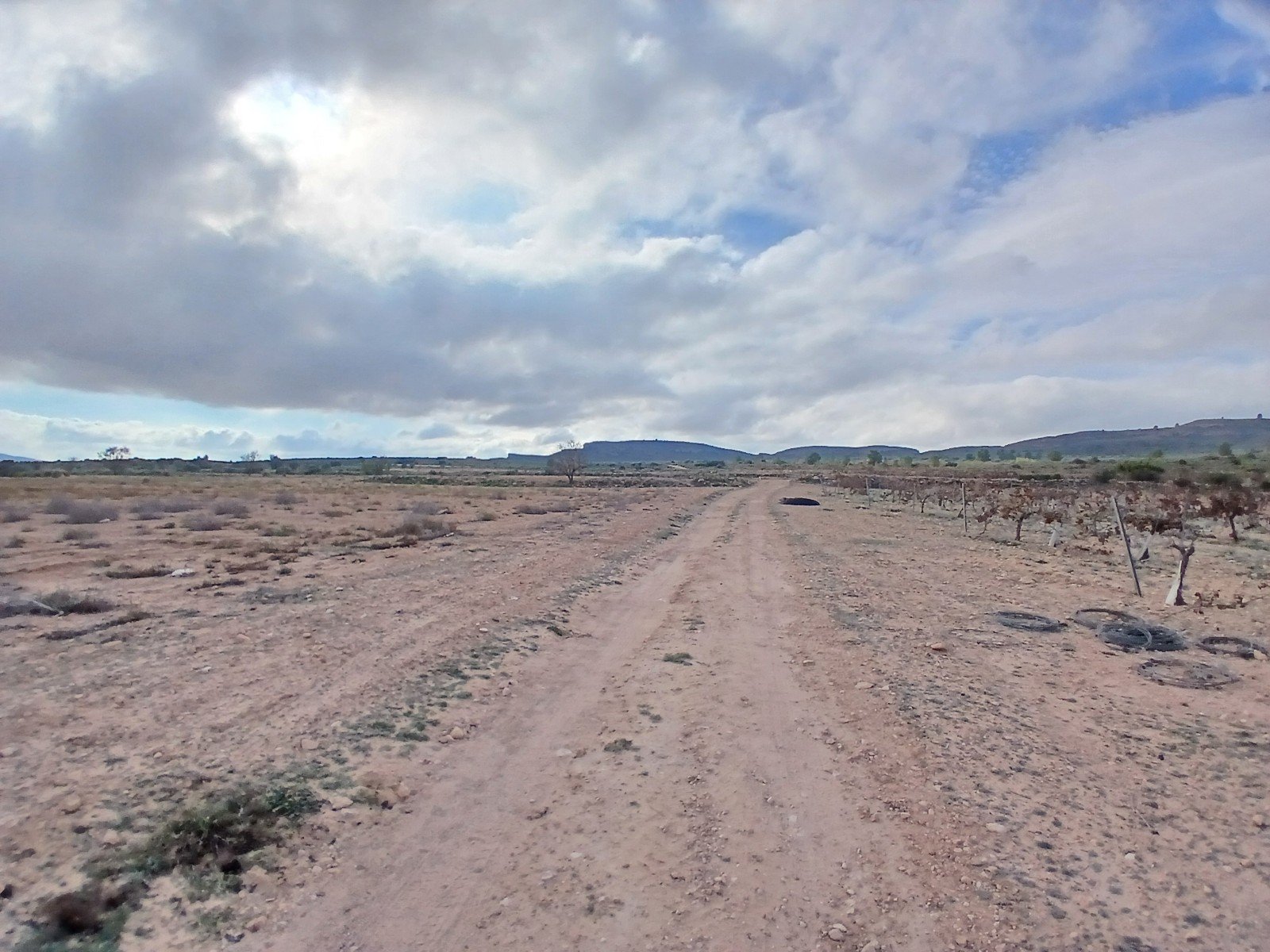 600,000 m² Land in Yecla - Caza De Casa