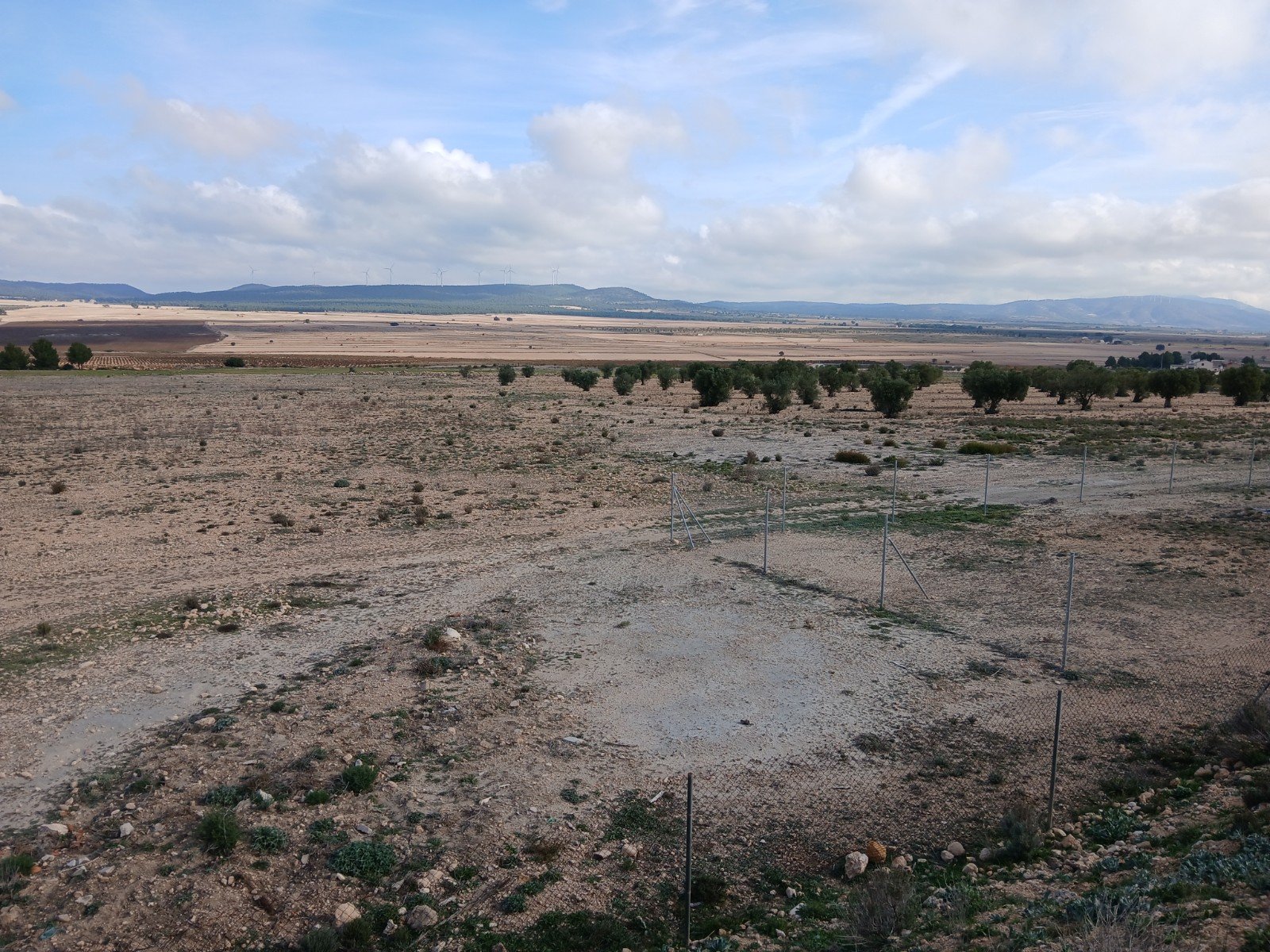 600,000 m² Land in Yecla - Caza De Casa